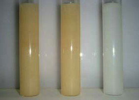 窓際に40日間放置した後の変化。